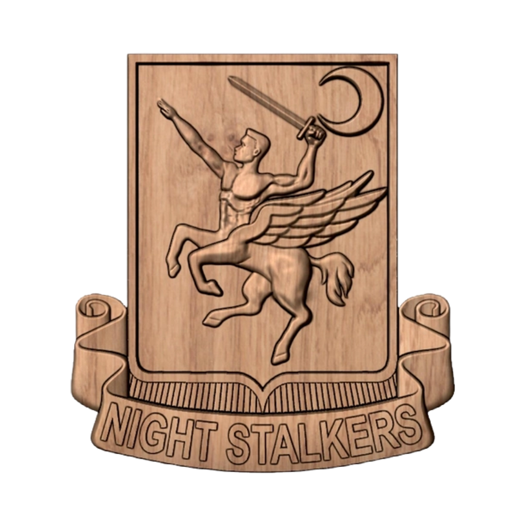 160th SOAR Night Stalkers Emblem mockup, special operations