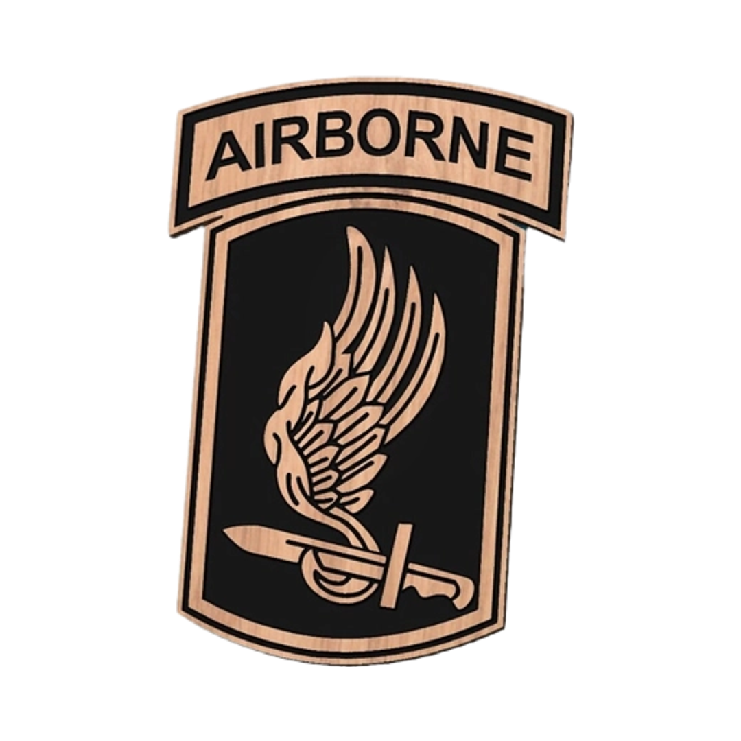 173rd Airborne Sky Soldiers Patch design preview, army