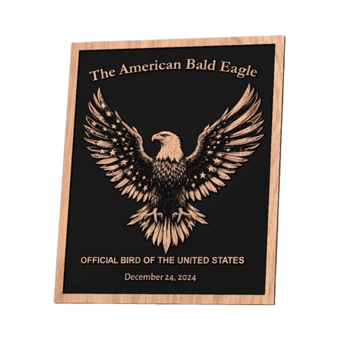 American Bald Eagle design preview, patriotic & americana