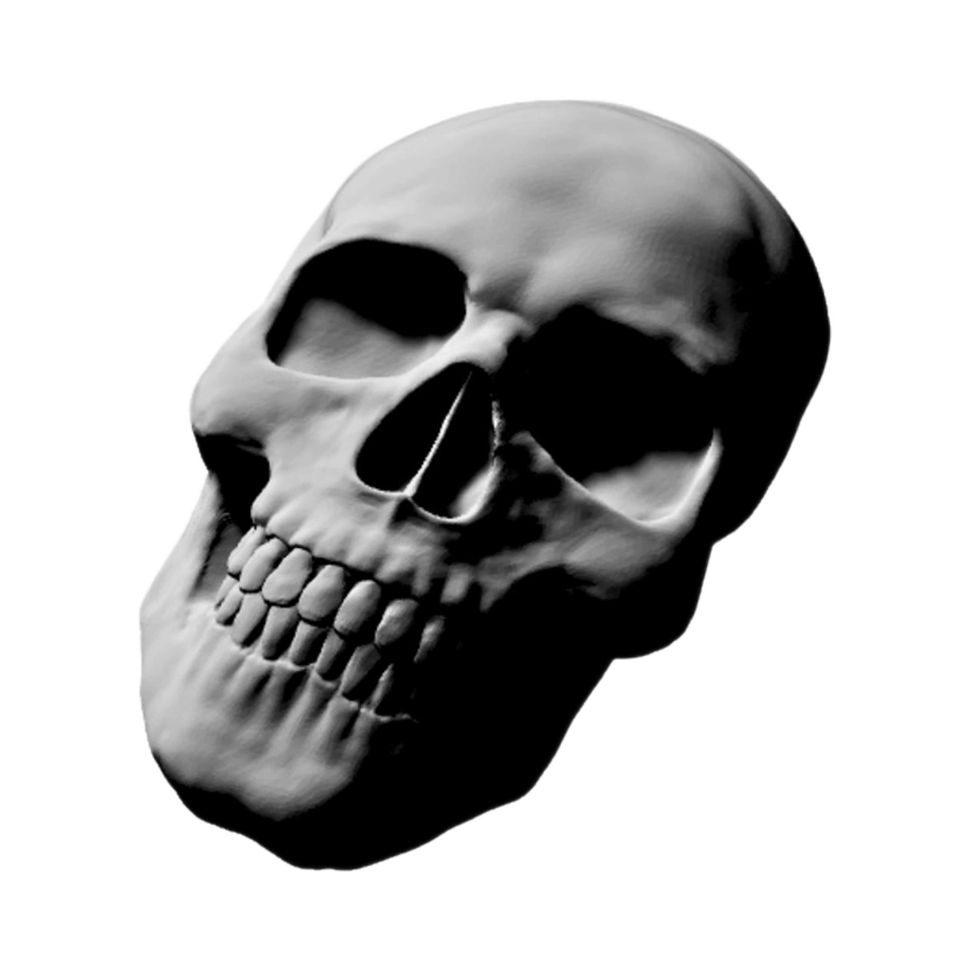 Front Skull Design design preview, skulls & skeletons