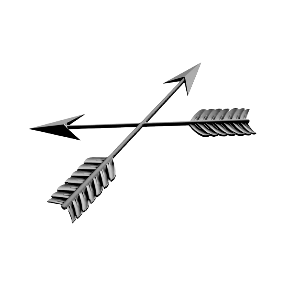 Special Forces Crossed Arrows design preview, special operations