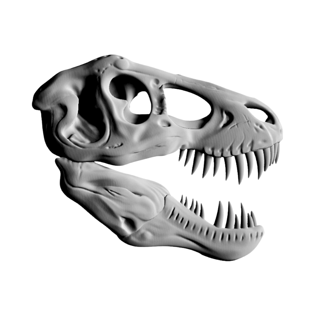 Tyrannosaurus Rex Skull (Side Angle) STL file for digital crafting, LightBurn and Vectric ready