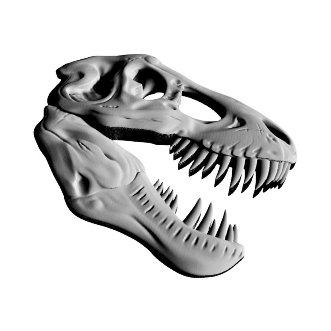 Tyrannosaurus Rex Skull (Side Angle) design preview, prehistoric & science