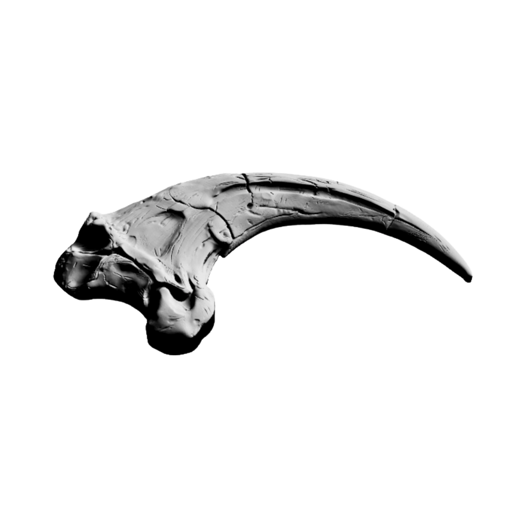 Velociraptor Claw design preview, prehistoric & science