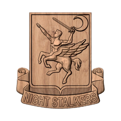 160th SOAR Night Stalkers Emblem mockup, special operations