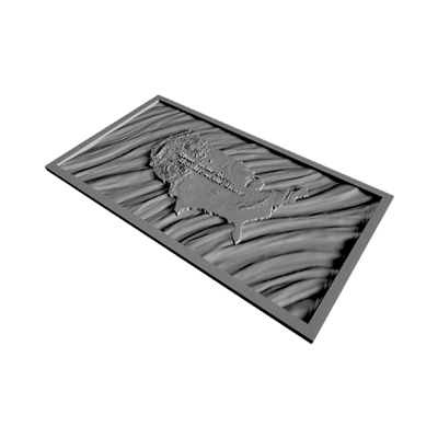 3D United States Terrain Wavy Flag (How-To Video Included) mockup, flags