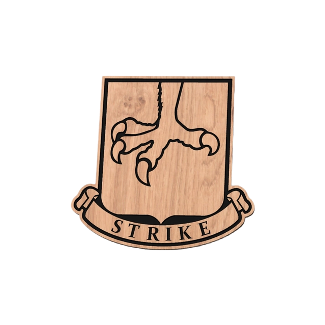 502nd Parachute Infantry Regiment Patch Logo design preview, army
