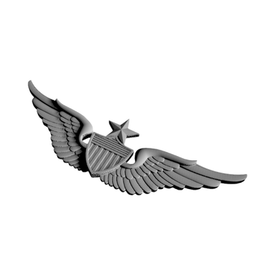 Aviation Wings Badges mockup, patches, badges & insignia