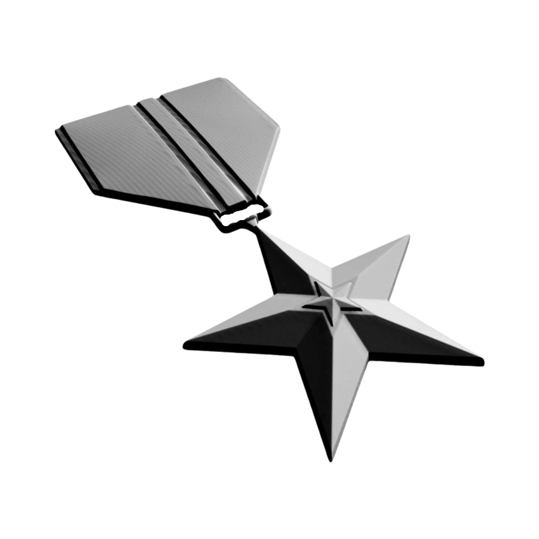 Bronze Star Military Award design preview, medals & awards