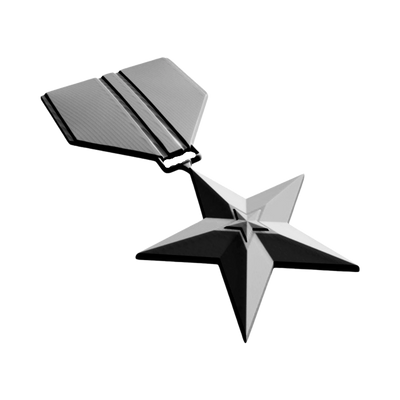 Bronze Star Military Award design preview, medals & awards