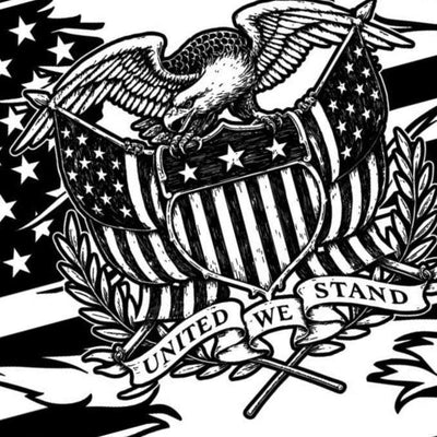 Eagle Crest American Flag SVG file included with instant download