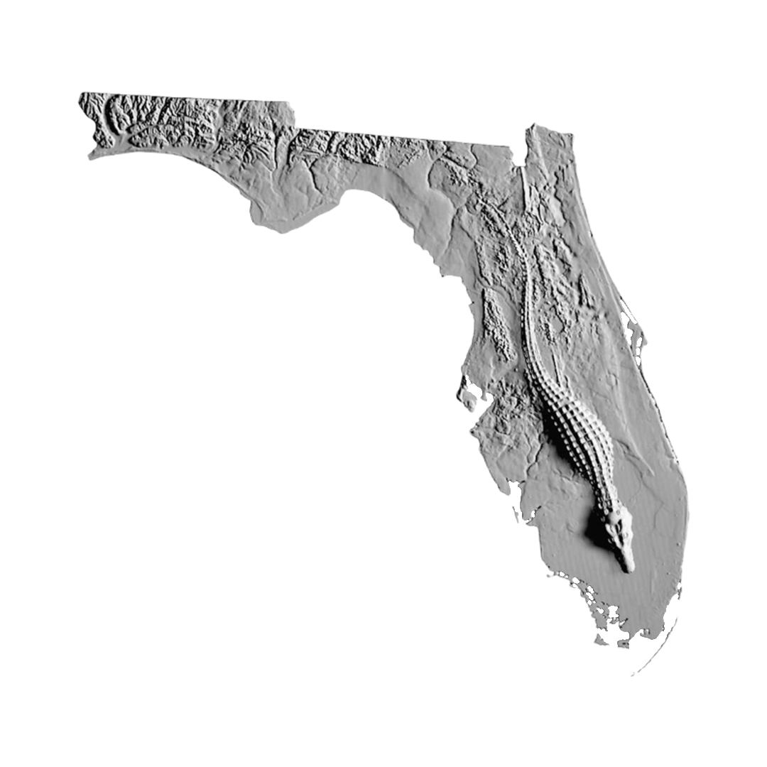 Florida Gator Terrain STL file for 3D printing and CNC routing, LightBurn and Vectric ready