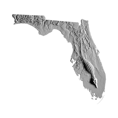 Florida Gator Terrain STL file for 3D printing and CNC routing, LightBurn and Vectric ready