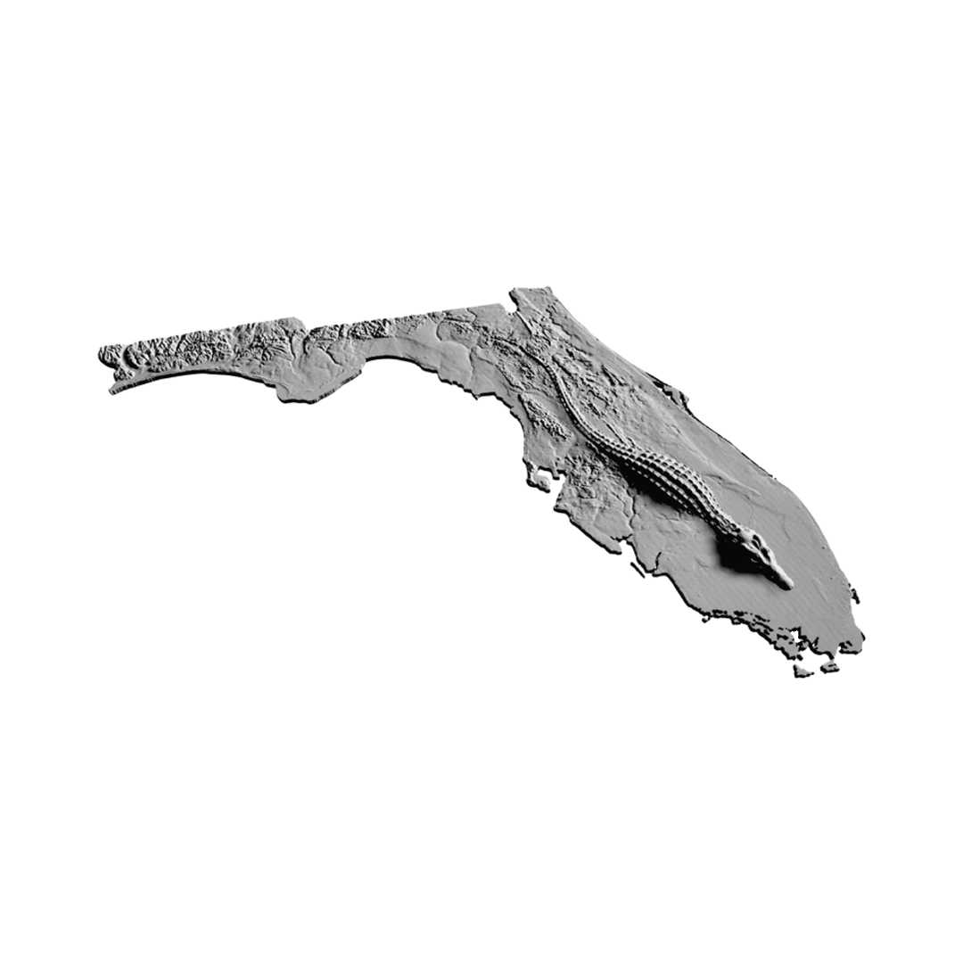 Florida Gator Terrain design preview, countries & world