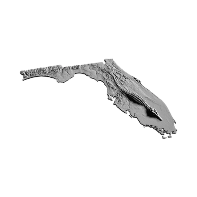 Florida Gator Terrain design preview, countries & world