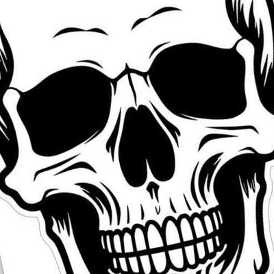Front-Facing Skull detail view, ready for laser cutting and CNC routing