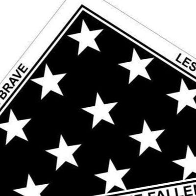 Honor the Brave Flag detail view, ready for laser cutting and CNC routing