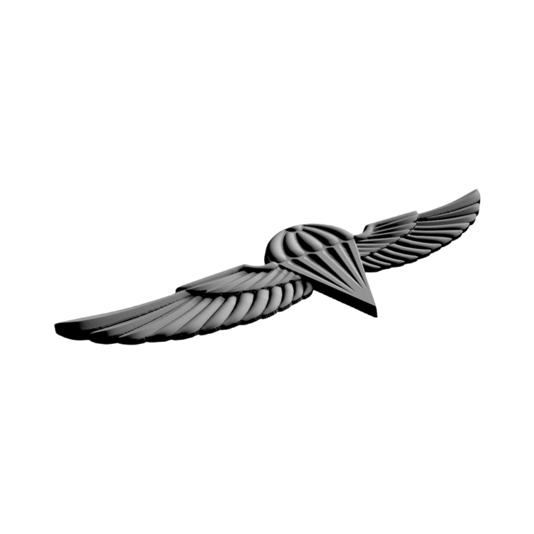 Israel Military Jump Wings design preview, patches, badges & insignia