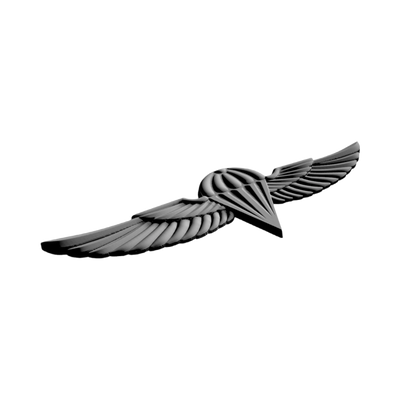 Israel Military Jump Wings design preview, patches, badges & insignia
