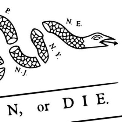 Join, Or Die Revolutionary Flag detail view, ready for laser cutting and CNC routing