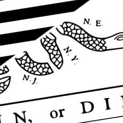 Join, Or Die USA Flag detail view, ready for laser cutting and CNC routing