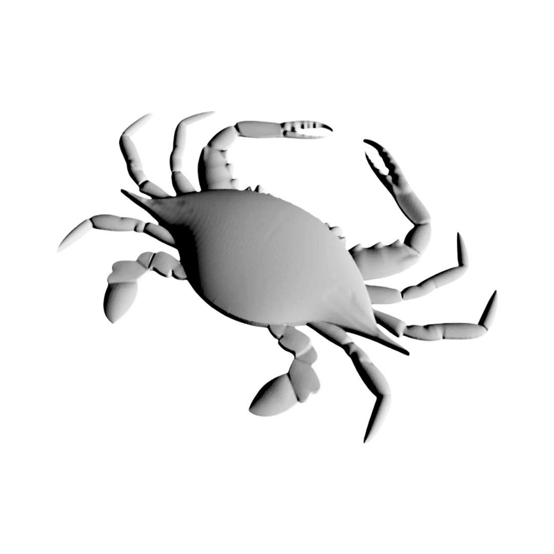 Maryland Blue Crab design preview, us states