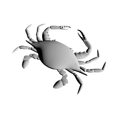 Maryland Blue Crab design preview, us states