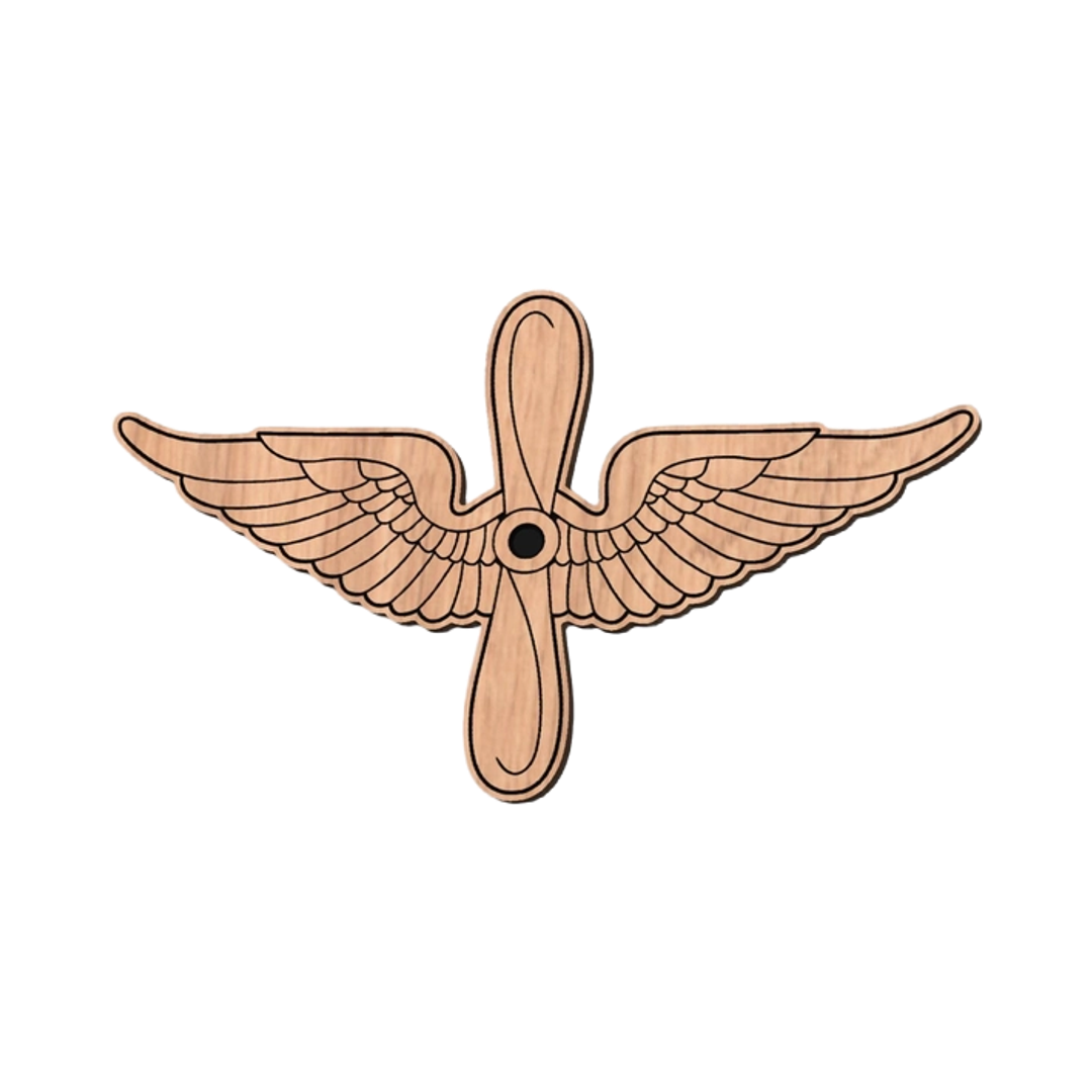 U.S. Army Aviation Branch design preview, other military