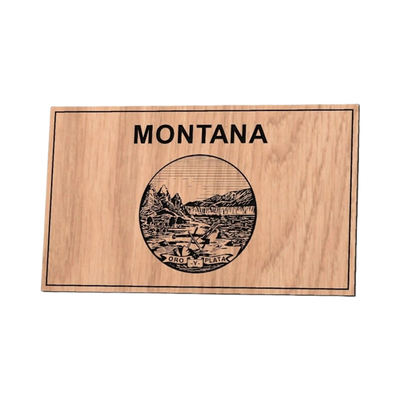 Montana State Flag design preview, flags
