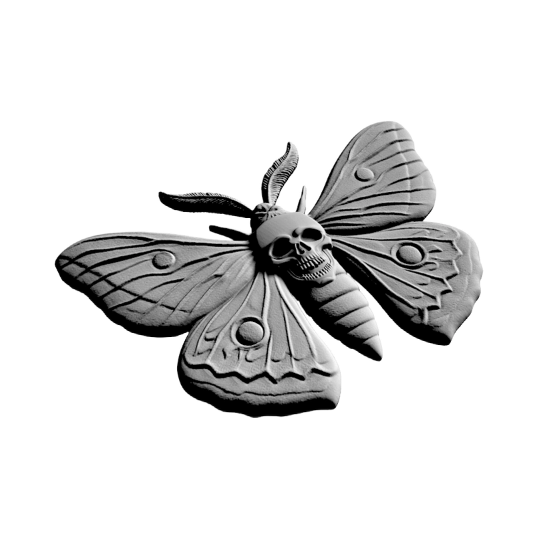 Moth Skull design preview, skulls & skeletons