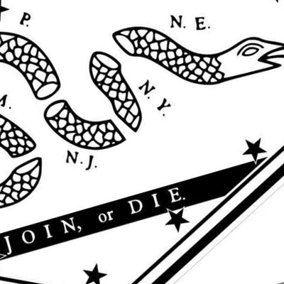 Unite States Patriotic Snake Bundle design preview, patriotic & americana
