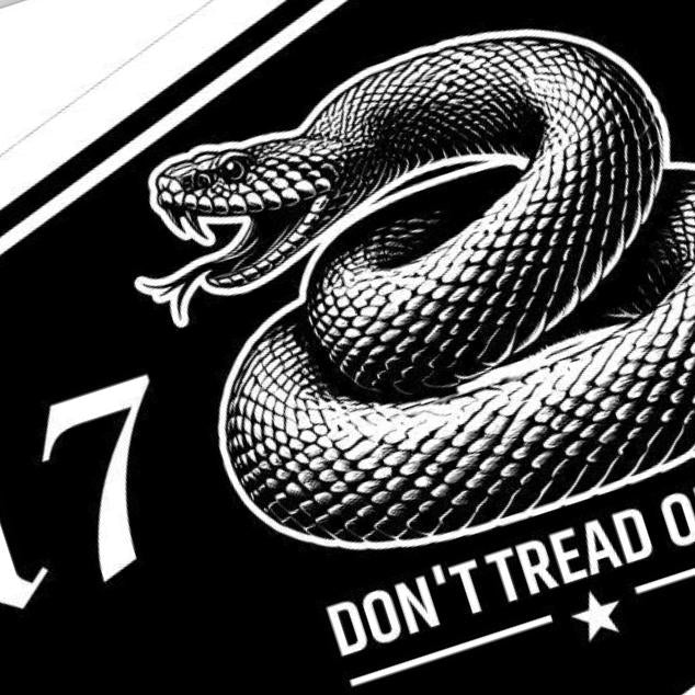 Unite States Patriotic Snake Bundle detail view, ready for laser cutting and CNC routing