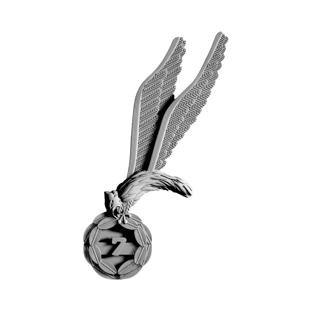 Polish Military Jump Wings STL file for 3D printing and CNC routing, LightBurn and Vectric ready