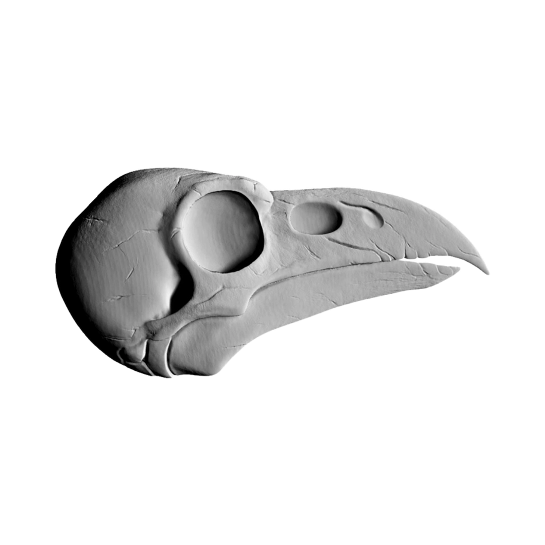 Raven Skull STL file for digital crafting, LightBurn and Vectric ready