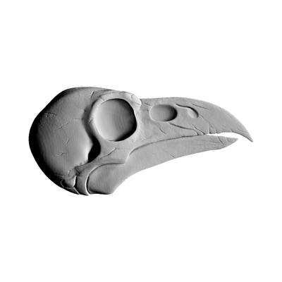 Raven Skull STL file for digital crafting, LightBurn and Vectric ready