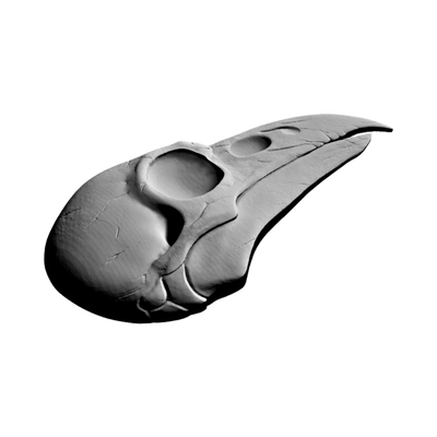 Raven Skull design preview, skulls & skeletons