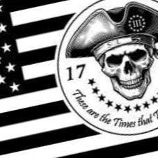 Revolutionary War Skull Flag detail view, ready for laser cutting and CNC routing