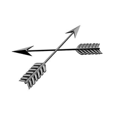 Special Forces Crossed Arrows design preview, special operations