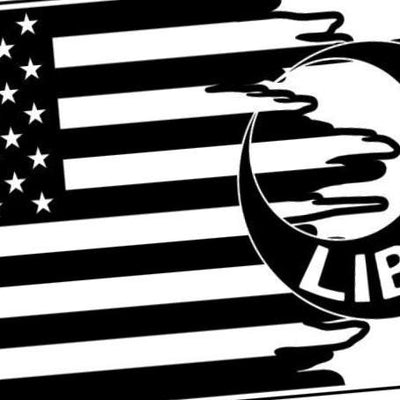 Moultrie Liberty Tattered Flag detail view, ready for laser cutting and CNC routing
