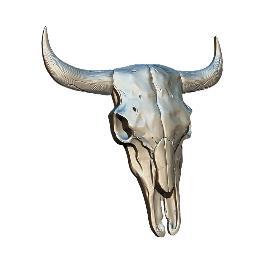 Texas Bull Skull design preview, skulls & skeletons