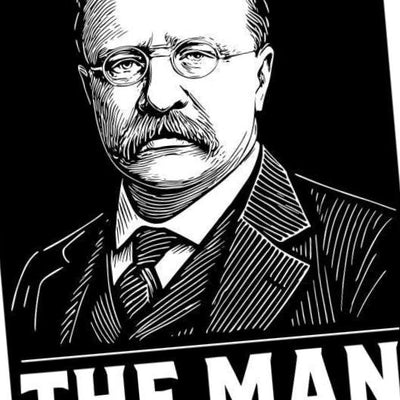 The Man in the Arena design preview, operations & history