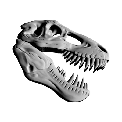 Tyrannosaurus Rex Skull (Side Angle) design preview, prehistoric & science