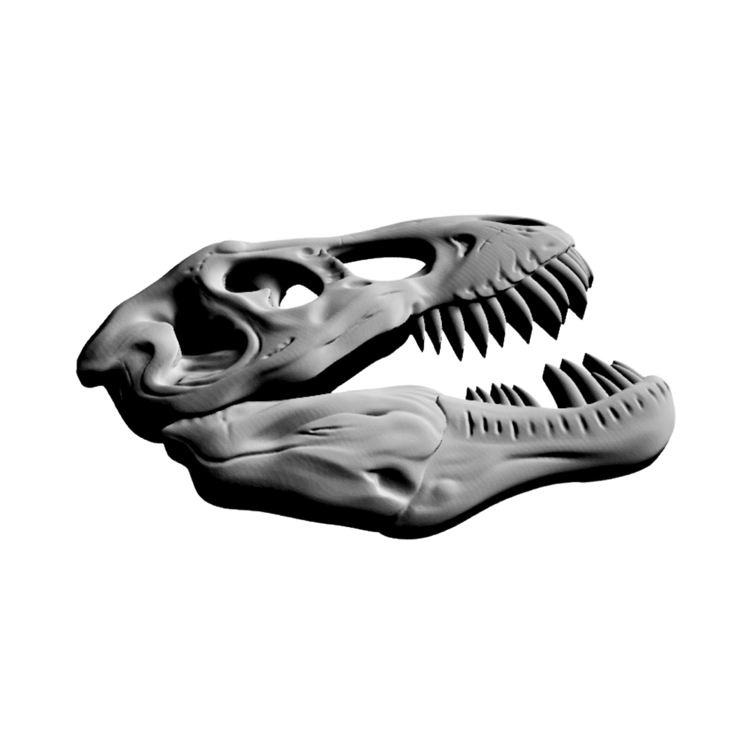Tyrannosaurus Rex Skull (Side Angle) detail view, ready for digital crafting