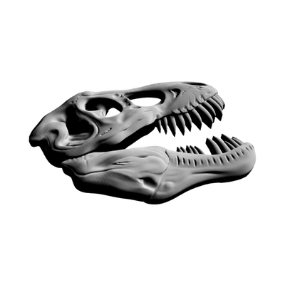 Tyrannosaurus Rex Skull (Side Angle) detail view, ready for digital crafting