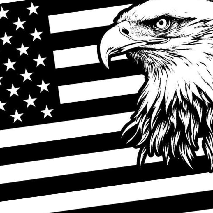 U.S. Eagle Flag detail view, ready for laser cutting and CNC routing